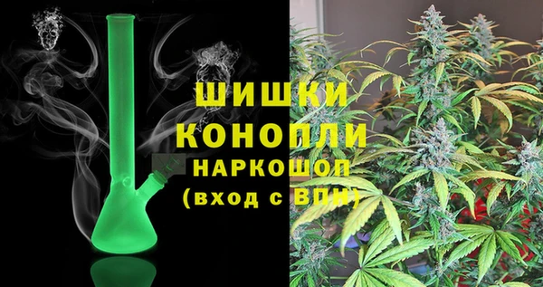 молекула духа Пересвет