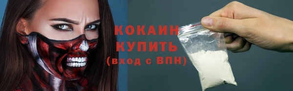 соль ск Переславль-Залесский