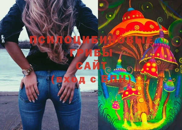 мяу мяу мука Алзамай