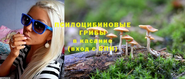 шишки Алексин