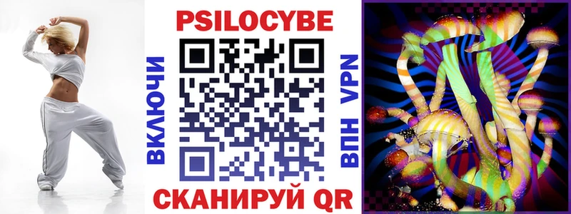 где купить наркоту Нижнеудинск Галлюциногенные грибы Cubensis